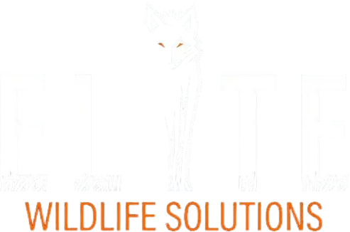 Elite Wildlife Solutions